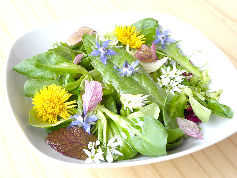 Salade de fleurs comestible