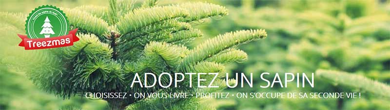 latelier_green_adopte_sapin_de_noel_treezmas